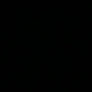 Meet your Posher, Sid